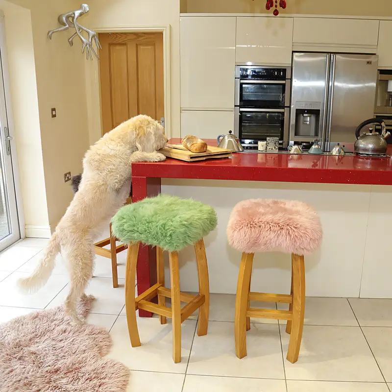Gwyn Sheepskin Bar Stool