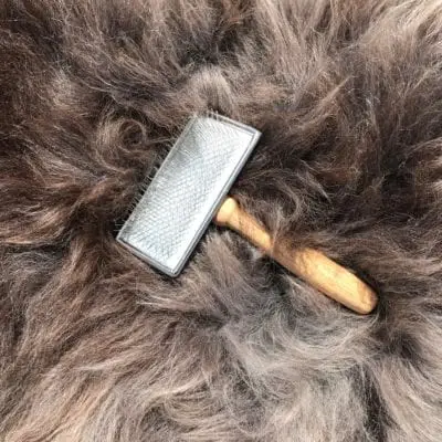 Wire Brush for Sheepskin