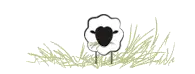 Baa Stool Sheep