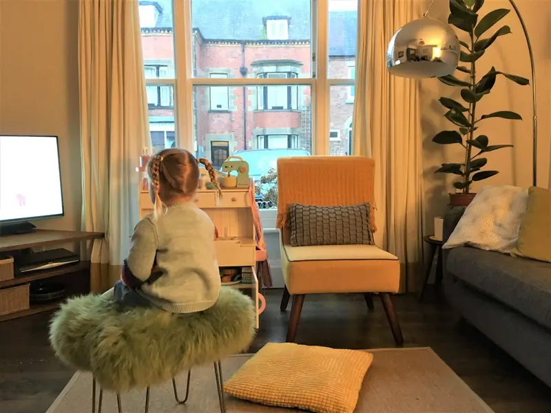 Sage sheepskin in your home