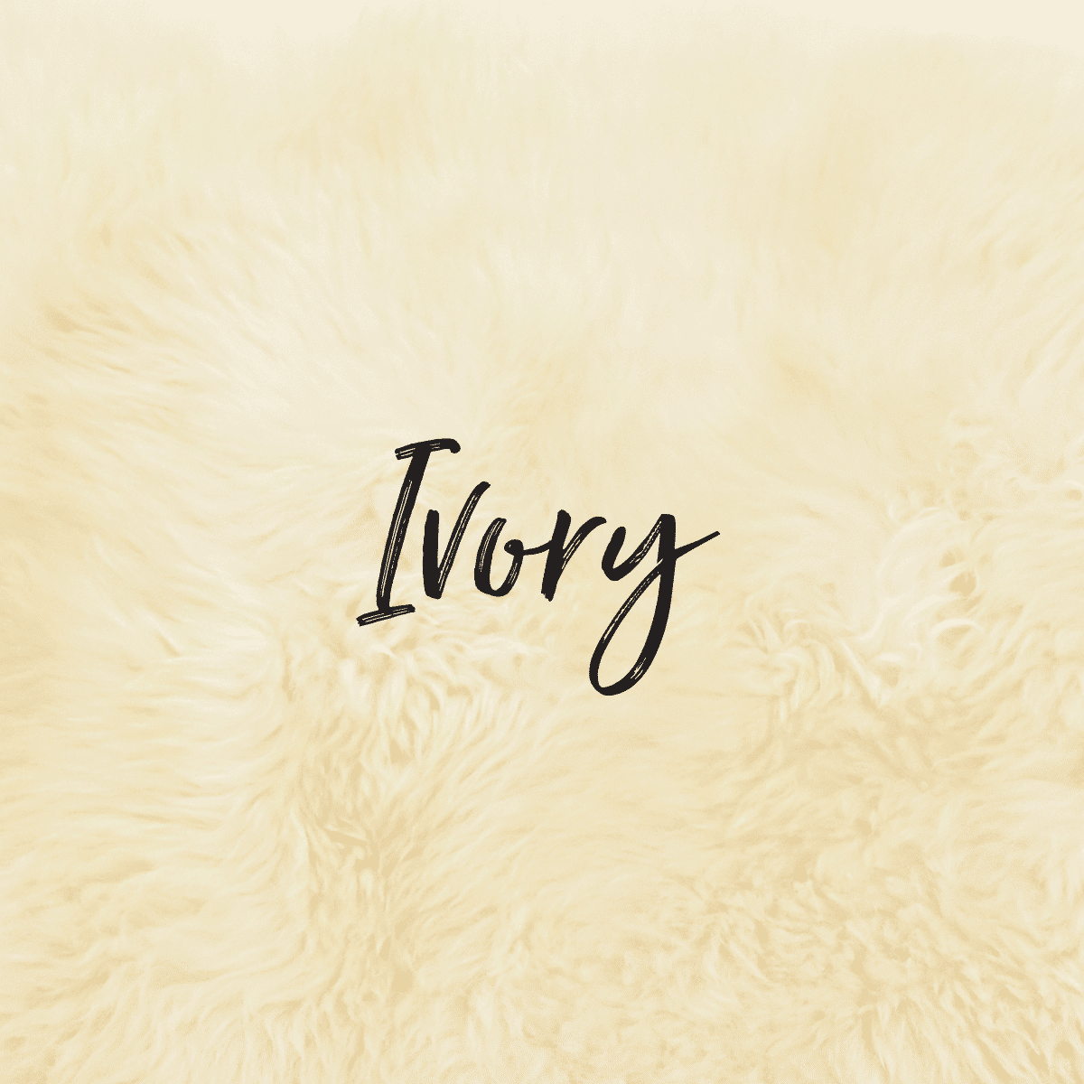 Ivory Sheepskin Swatch