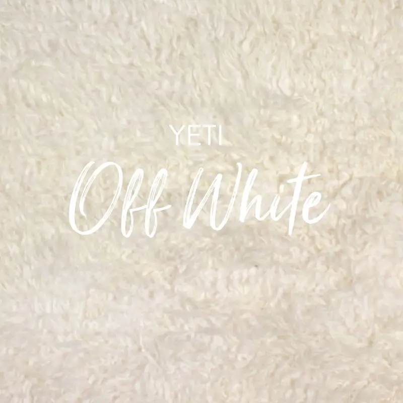 Long Curly Off White Swatch