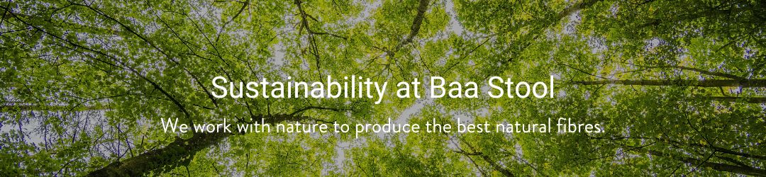 Sustainability at Baa Stool