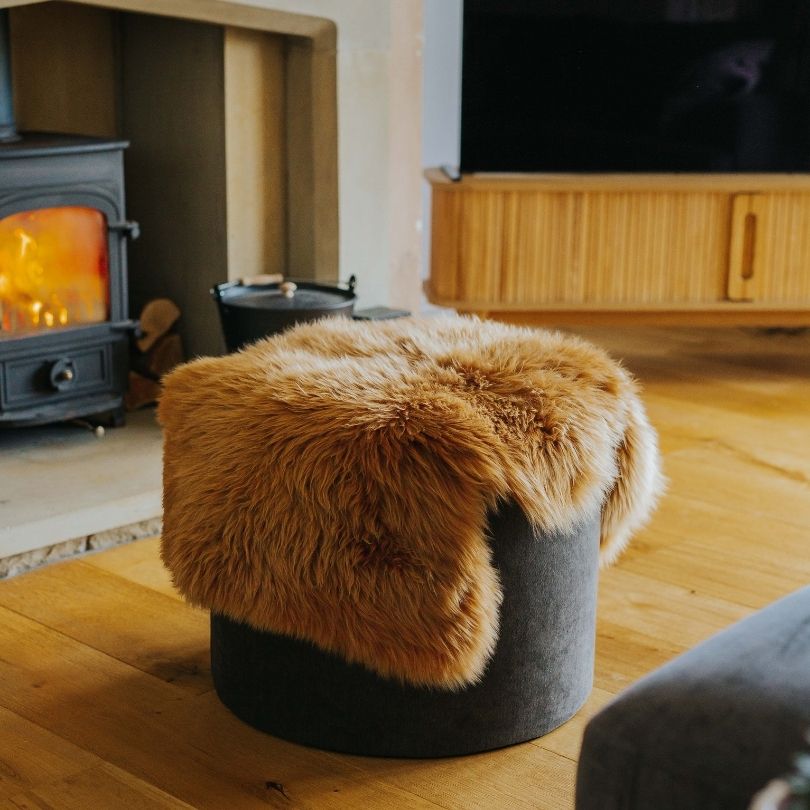 Pumpkin Spice Lifestyle (2) Single Sheepskin Rug in Pumpkin Spice