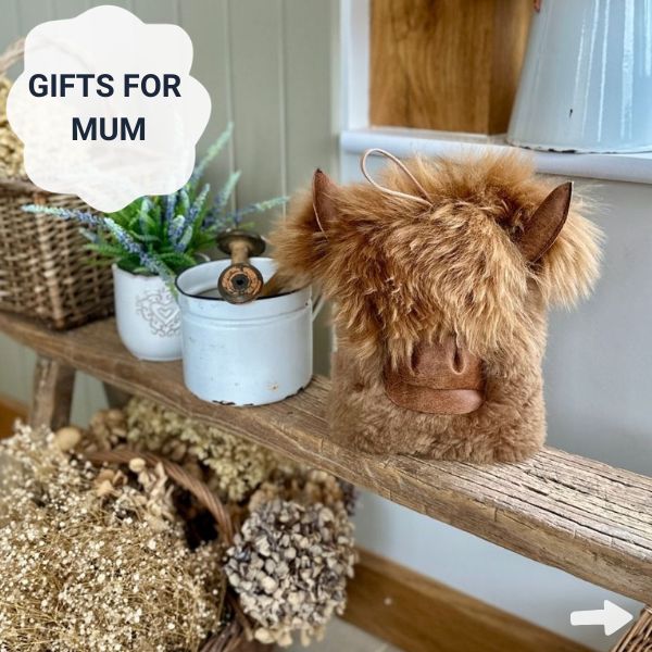 Mothers day Gifts At Baa Stool Image of a highland cow door stop on a bench.