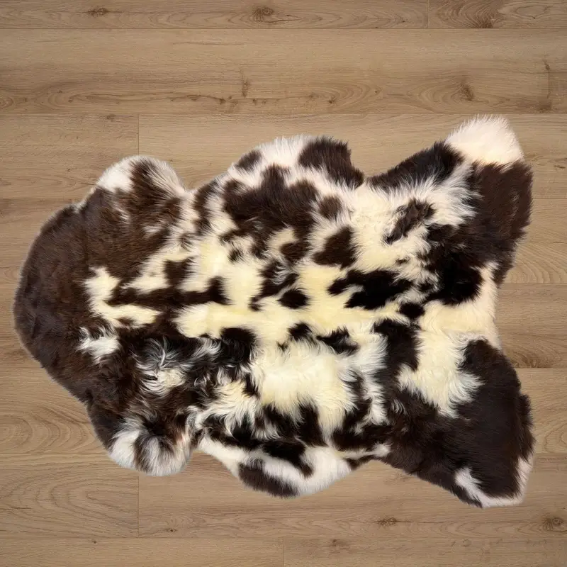 Ivory tones with chocolate splotches, soft with a gentle curl.