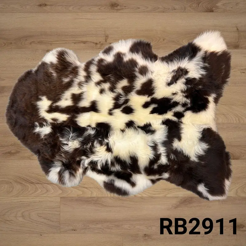 Ivory tones with chocolate splotches, soft with a gentle curl and code.