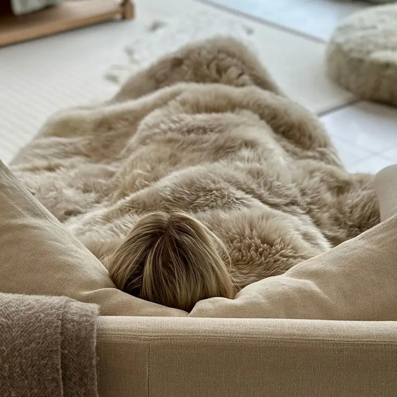 Sheepskin Cocoon Throw - Eggshell